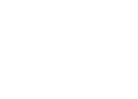 La Biznaga Digital - Logotipo Biznaga Digital en blanco